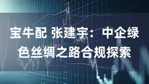 宝牛配 张建宇：中企绿色丝绸之路合规探索