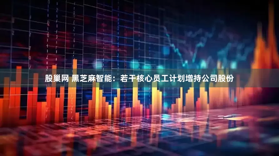 股巢网 黑芝麻智能：若干核心员工计划增持公司股份